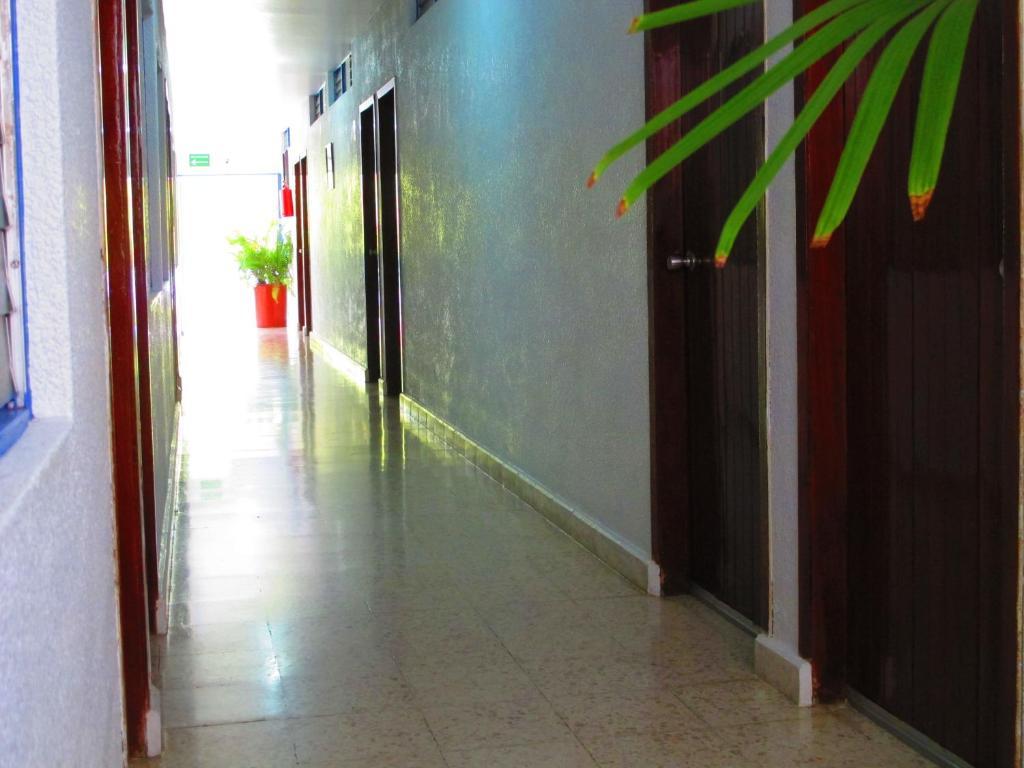 Hotel Acuario קטאמקו מראה חיצוני תמונה
