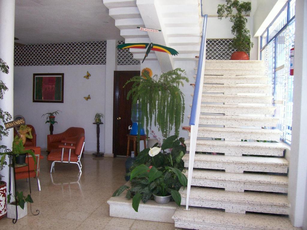 Hotel Acuario קטאמקו מראה חיצוני תמונה
