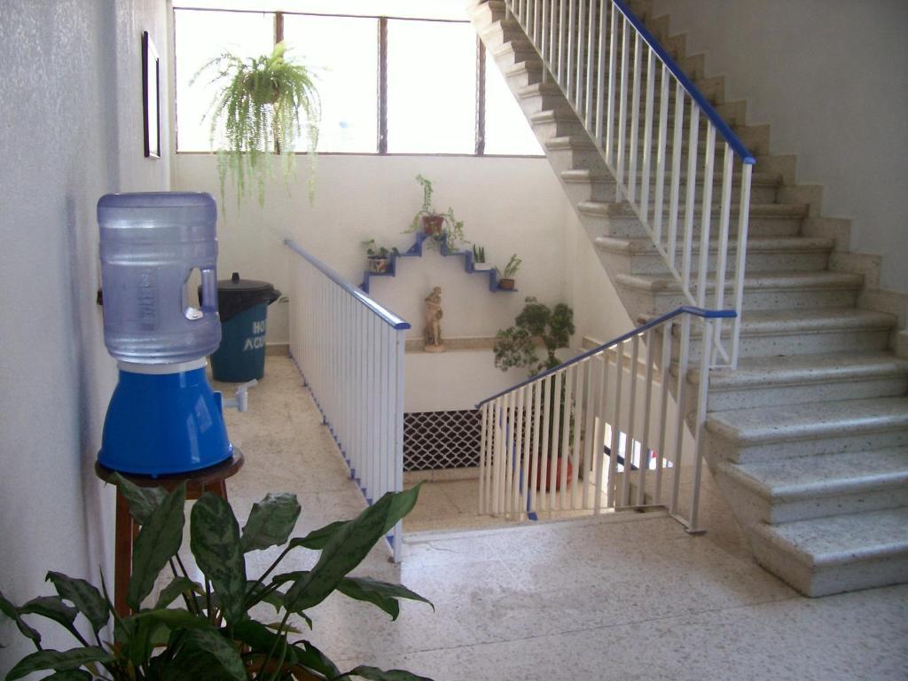 Hotel Acuario קטאמקו מראה חיצוני תמונה