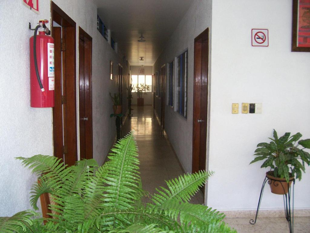 Hotel Acuario קטאמקו מראה חיצוני תמונה
